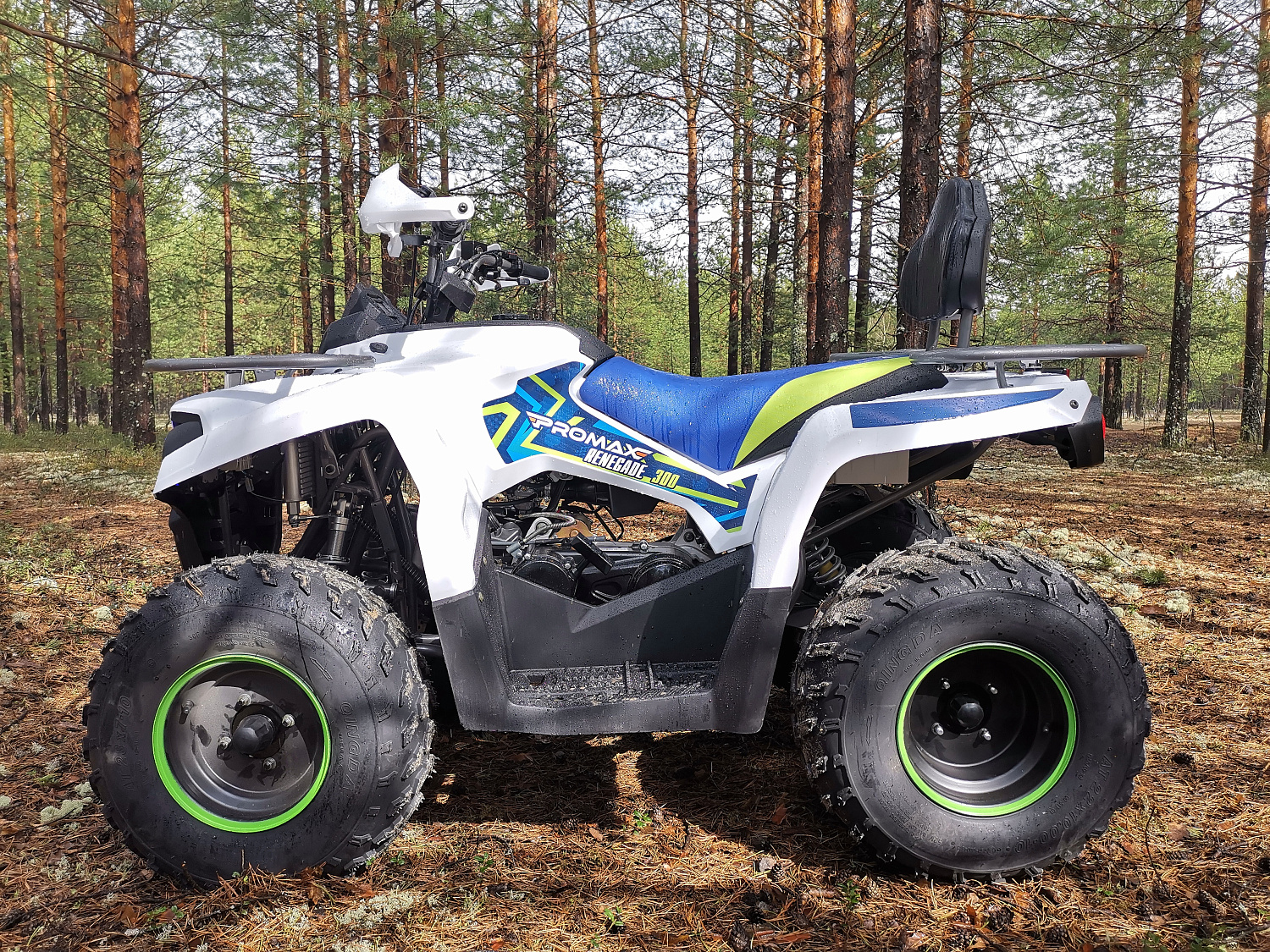 Квадроцикл PROMAX RENEGADE 280 (2025) в Ухте