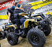 Квадроцикл PROMAX ATV 250 (2025) в Ухте