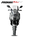 МаксиСкутер PROMAX-HONDA ADV 150 (49) (Inspired by HONDA) в Ухте