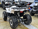 Квадроцикл PROMAX WILD 2.0 190 LUX в Ухте