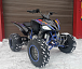 Квадроцикл PROMAX RAPTOR 300 NEW RedBull в Ухте