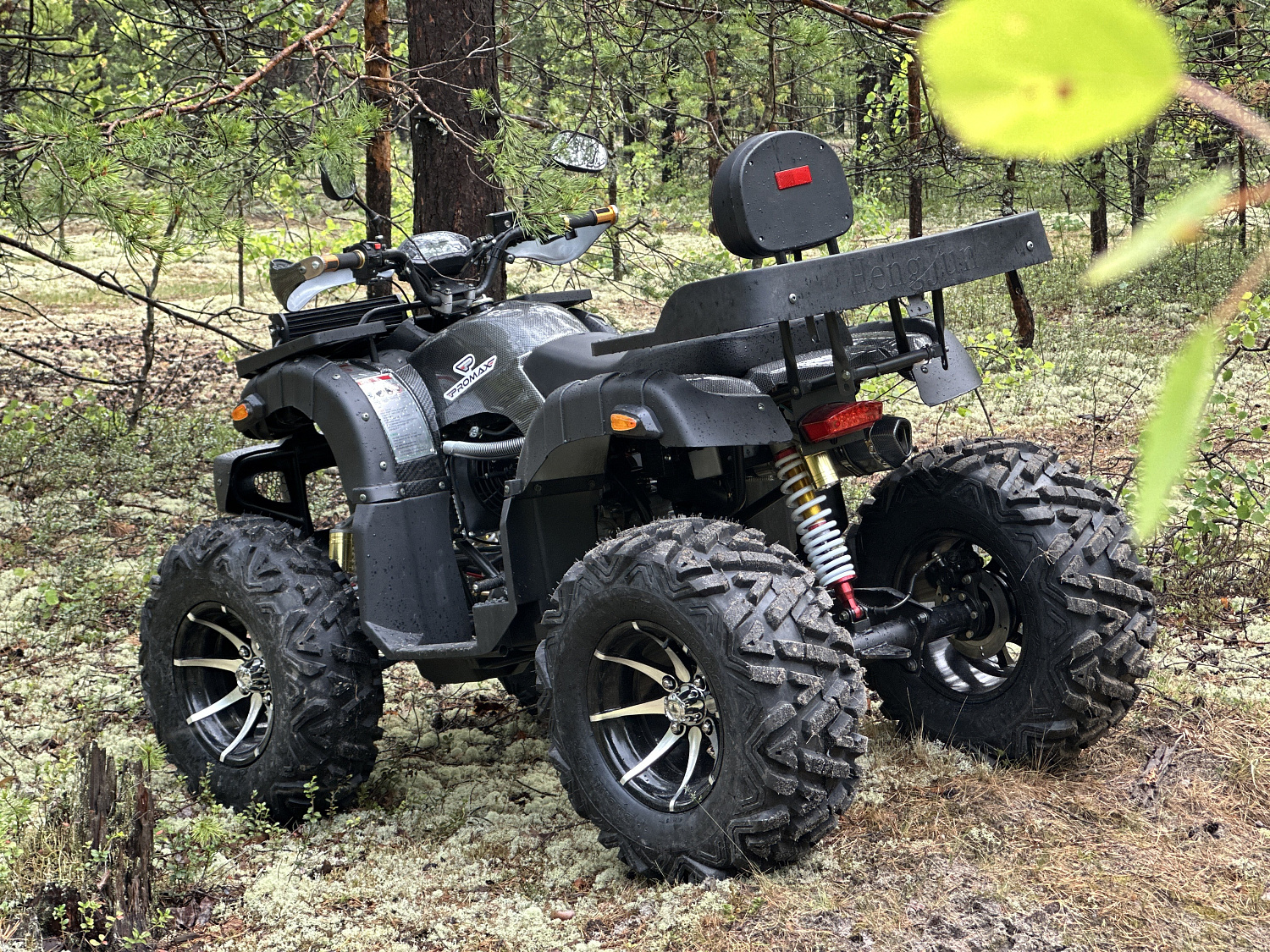 Квадроцикл PROMAX 320 DOMINATOR (2025) в Ухте