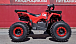 Квадроцикл PROMAX WILD 175 BASIC в Ухте