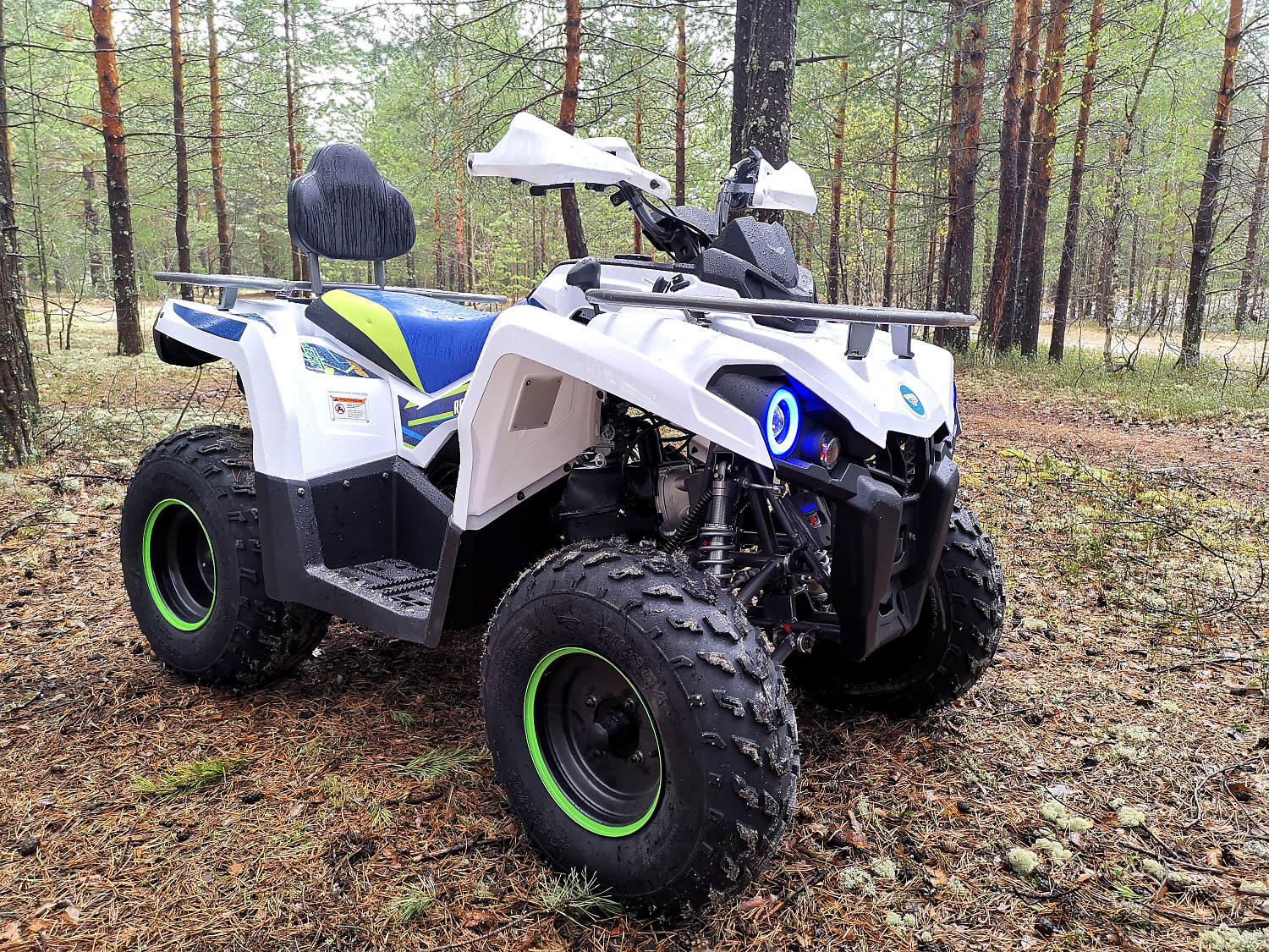Квадроцикл PROMAX RENEGADE 280 (2025) в Ухте