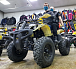 Квадроцикл PROMAX ATV 250 (2025) в Ухте