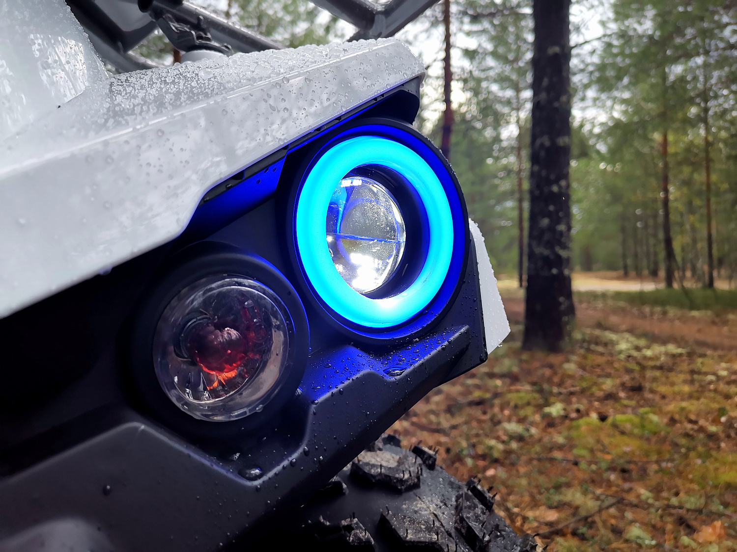 Квадроцикл PROMAX RENEGADE 280 (2025) в Ухте