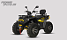 Квадроцикл PROMAX TAURUS 300 MAX-PRO LONG в Ухте